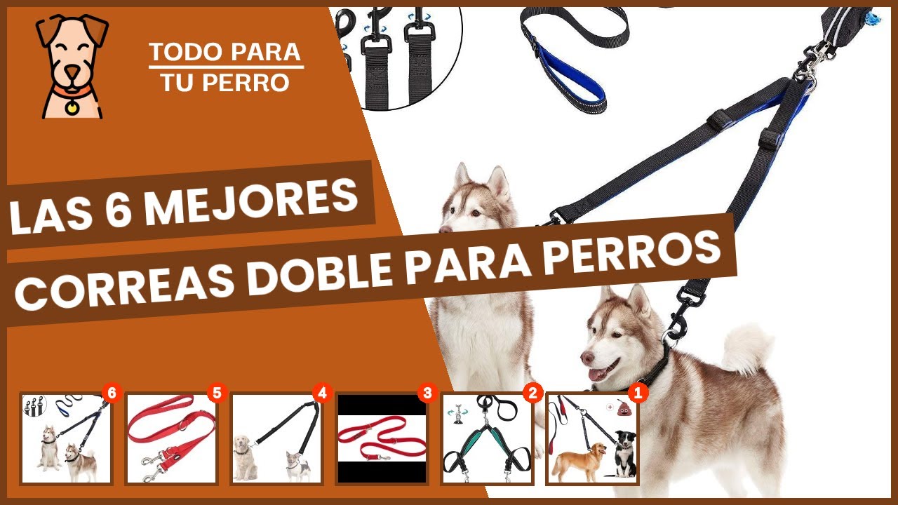 Cual es la mejor pipeta para perros