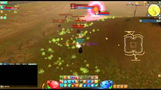 Phantom Pet Damage Bug