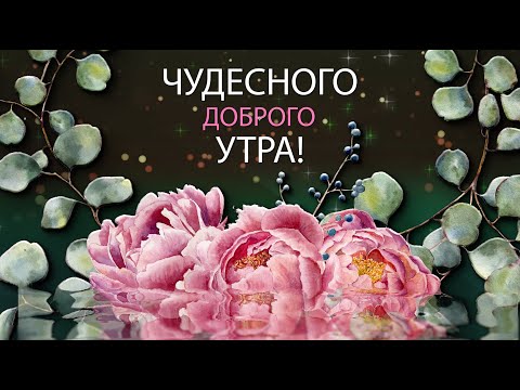 ✅Доброе утро! Позитива на весь день!✅