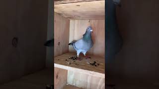 VID 20200914 WA0017