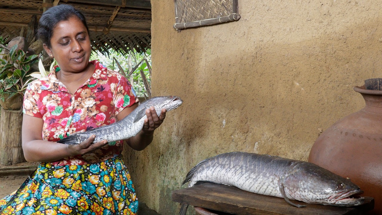 murrel fish / Try to make fish abulthial from these fish in this way  .village kitchen recipe