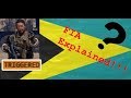 Arma 3 FIA Explained!!!