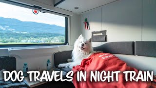 Our Dog takes a 12 hour Night Train across Europe