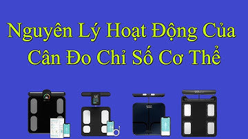 Nguyên Lý Hoạt Động Của Cân Đo Chỉ Số Cơ Thể
