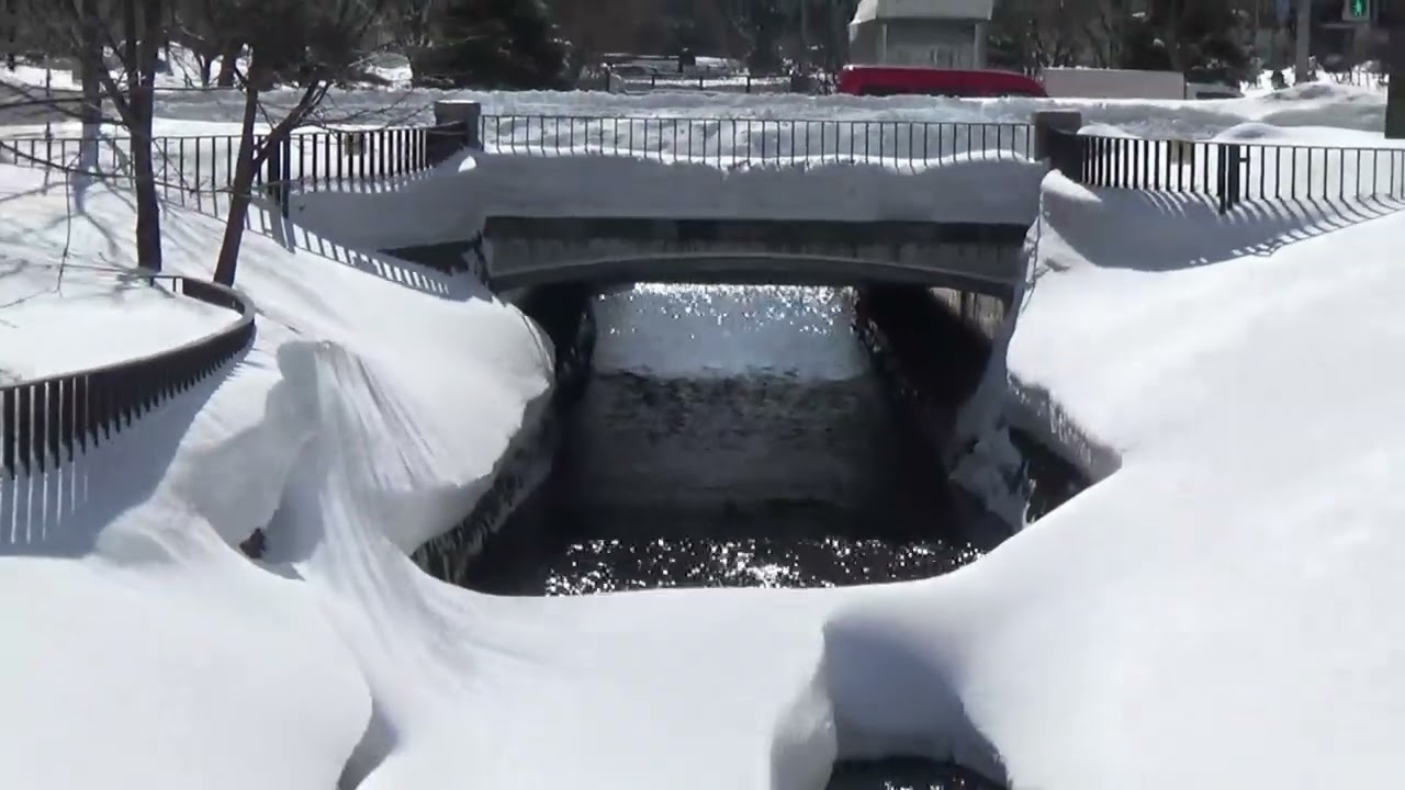 Sapporo Walk（札幌で散歩）20260220