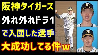 阪神タイガース、外れ外れドラフト1位で入団した選手”大成功”している件ｗ（ノ・ボールガールの野球NEWS）