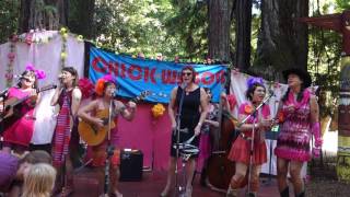 Megan Mcglaughlin & Chickwagon Just Walk Away Rene - Redwood Ramble 2016