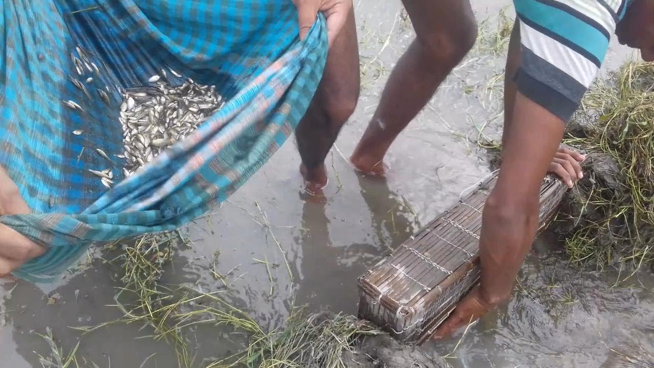 Primitive village fishing life/Amazeing Fishing Videos || Modest Life
