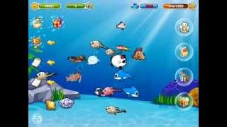 Happy fish dream aquarium game play on the new iPad screenshot 3