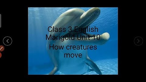 Class 3 English Unit 10 Poem - How Creatures Move
