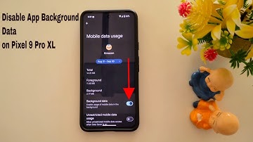 How to Disable App Background Data Usage on Pixel 9 Pro XL, Pixel 9 Pro Fold