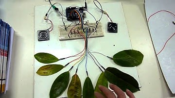arduino 樹葉觸控電子琴 leaf music