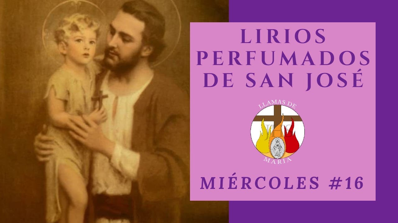 MIÉRCOLES # 16 | LIRIOS PERFUMADOS DE SAN JOSÉ | 