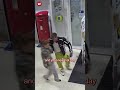 The moment abusive man is given sentence of 8 years prison for wife's suicide in Scotland
