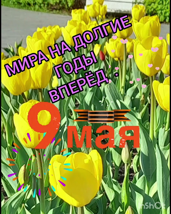 открытка #приветствие #деньпобеды#9мая#пожелание#мир#весна#ветераны ...
