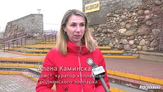 Какой будет погода нынешней зимой?