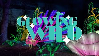 Glowing Wild: The Reviews are IN! ✨