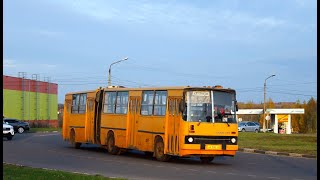 Ikarus 280.33 АМ 598 46 Железногорск