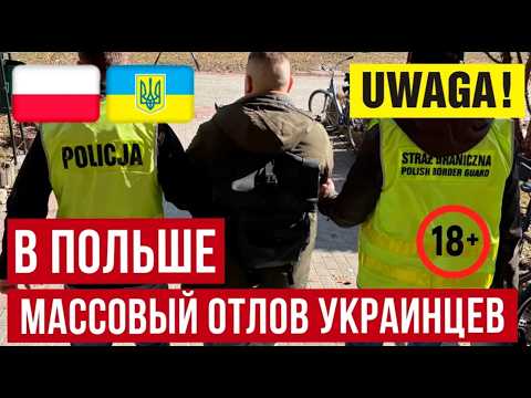 ЖЕСТЬ в Польше! Конвейер депортаций украинцев запущен! Что происходит? Новости