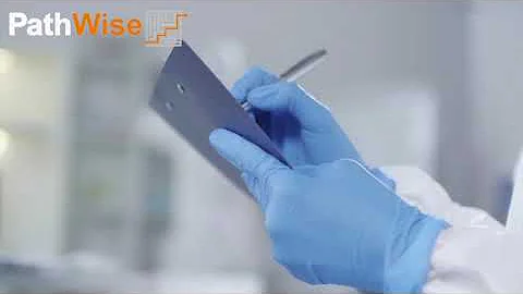 Brexit Transition MHRA and EU Regulations