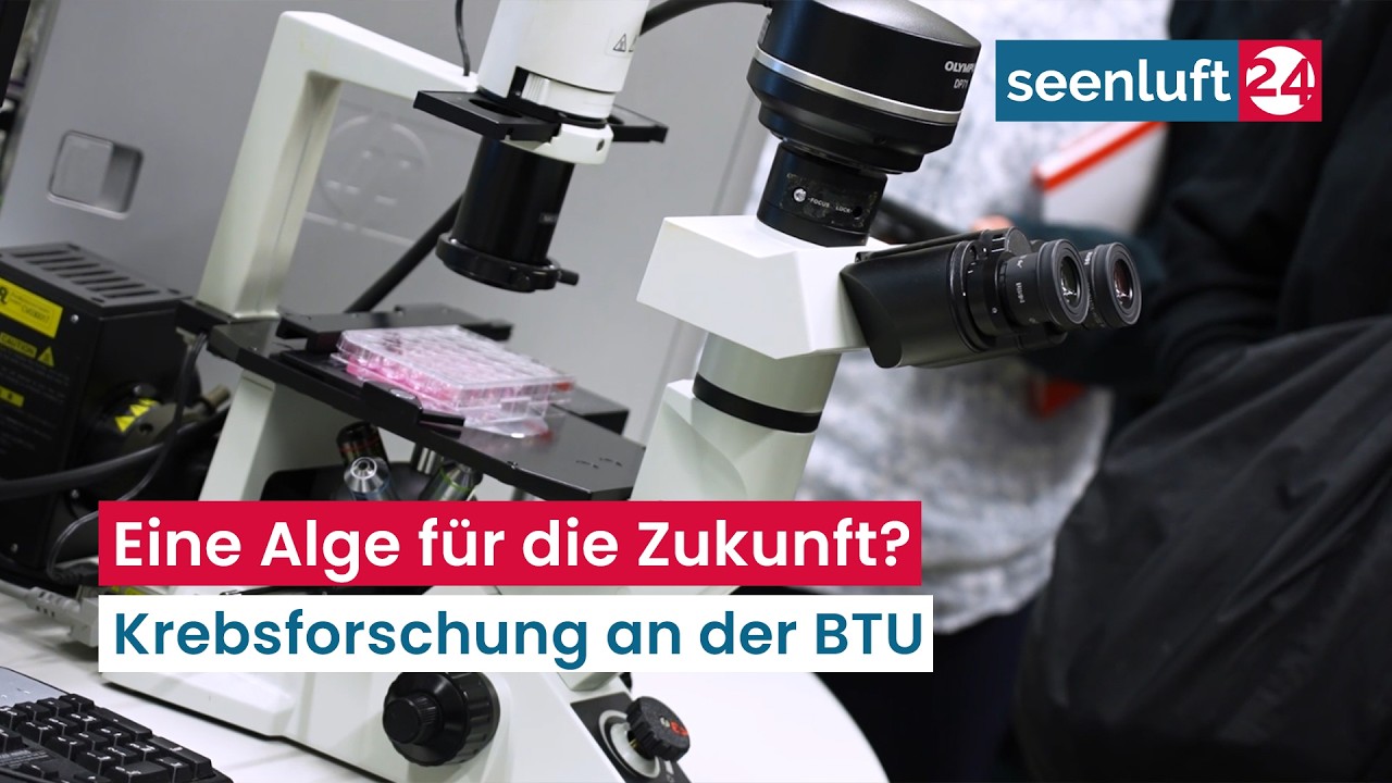 Eine Alge für die Zukunft? - Krebsforschung an der BTU