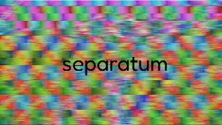 separatum.exe