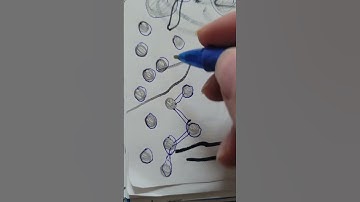 networking connection theory diagram example version section selection pattern moment page layer new