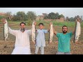 Fish Recipe. | Full Fish BBQ | Spicy Grilled Fish | Lahori Masala Fish BBQ | Mubarak Ali