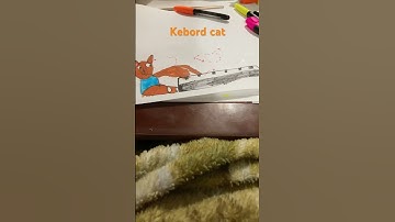 Keyboard cat ￼ #drawing  #Keyboardcat￼￼