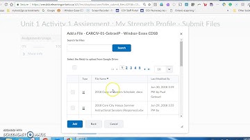CarCivs How to Submit an assignment to dropbox