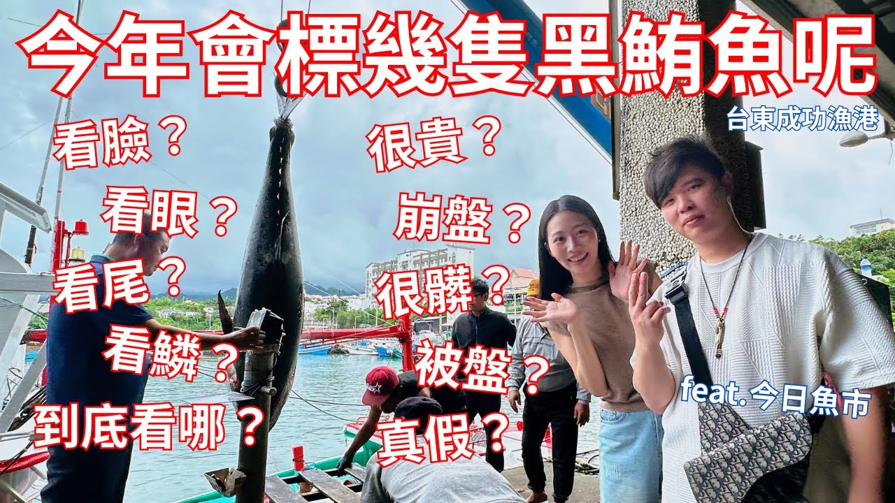 衝衝衝！跟著小豪一起衝成功漁港！今年要標幾隻黑鮪魚呢？feat.今日魚市