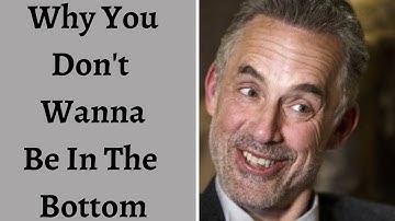 Jordan Peterson ~ Why You Don