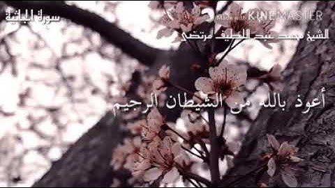 الشيخ محمد عبد اللطيف ما تيسر من سورة الجاثية إستماع
