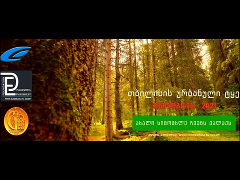 შემოდგომა - თბილისის ურბანული ტყე