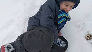 When you don't have a hill to sled you improvise. by Dot Henrich 96 views 5 years ago 1 minute, 42 seconds