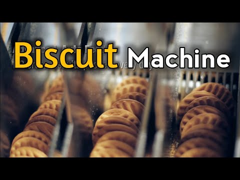 Biscuit Machine Automatic |  Biscuit Maker | Business