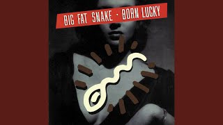 Video thumbnail of "Big Fat Snake - Mercury Blues"