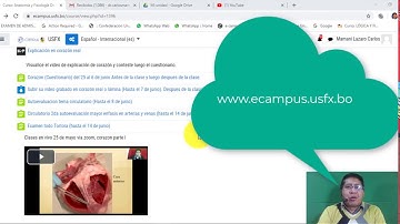 Tutorial como subir vídeos grandes a moodle o ecampus Dr. Carlos Mamani L.