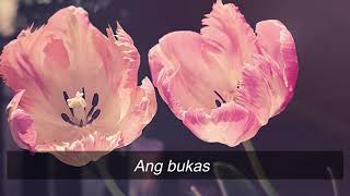 Buhay Koy Ikaw Lamang-Tricia Amperlyric Video