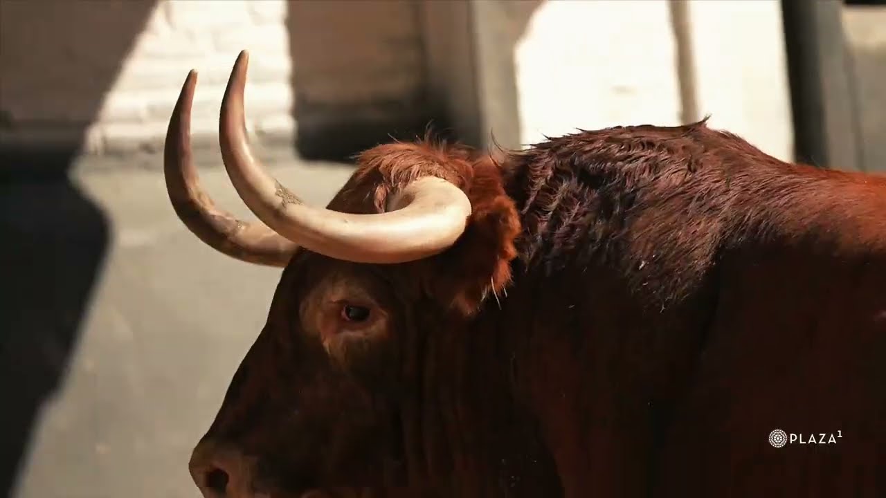 Plaza de Toros de LasVentas. Este es el orden de lidia de la 17a de Abono. Toros de Garcigrande.