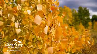 Autumn in Southern Utah | Dixie National Forest | Cedar City, UT Autumn in Southern Utah | Dixie National Forest | Cedar City, UT