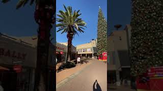 The World’s Largest Christmas Tree