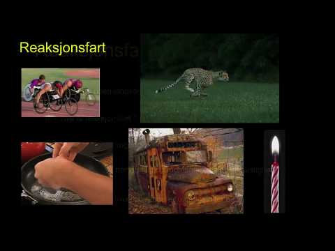 Video: Hvordan øke Reaksjonshastigheten