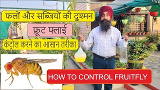 Fruit fly Trap |  फलों और सब्जियों को फल मक्खी से बचाने का आसान तरीका || Easy and organic Method ||