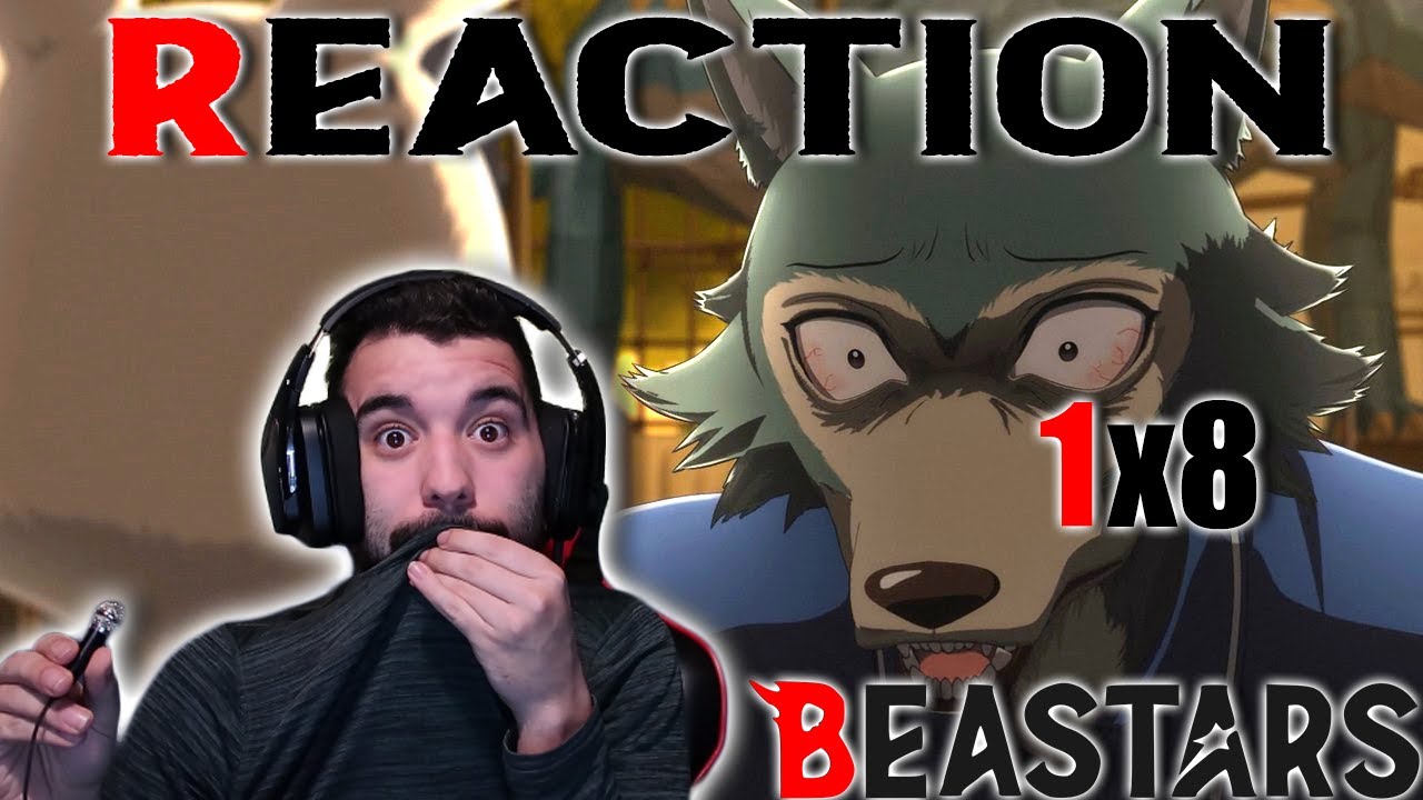 Beastars React Things Just Got Awkward!! Beastars 1x8 REACTION!!