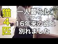 【アラフィフ独身女×猫４匹】○○という一言で16年来の彼と別れる決心をしました