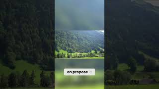 Graine Dhelvète Avec Potagoex - Cultivez Des Légumes - Le Secret Des Graines