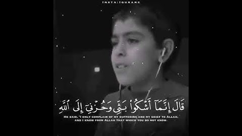 القارئ أنس شهاب