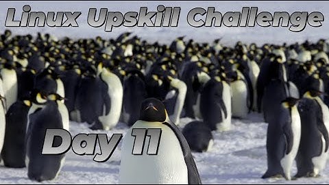 [Day 11] Finding Things - Linux Upskill Challenge
