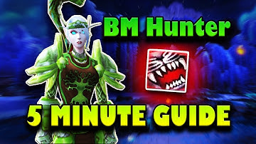 Beast Mastery Hunter 5-minute GUIDE / The War Within 11.1 / Talents, Stats, Rotation, Tips